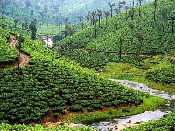 Valparai hidden gem guide