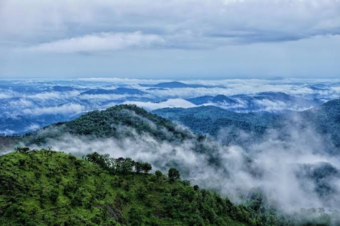 Wayanad forest and nature