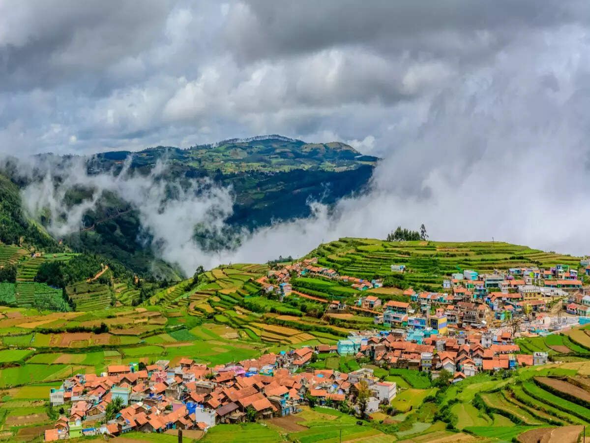 Ooty tea gardens and hills