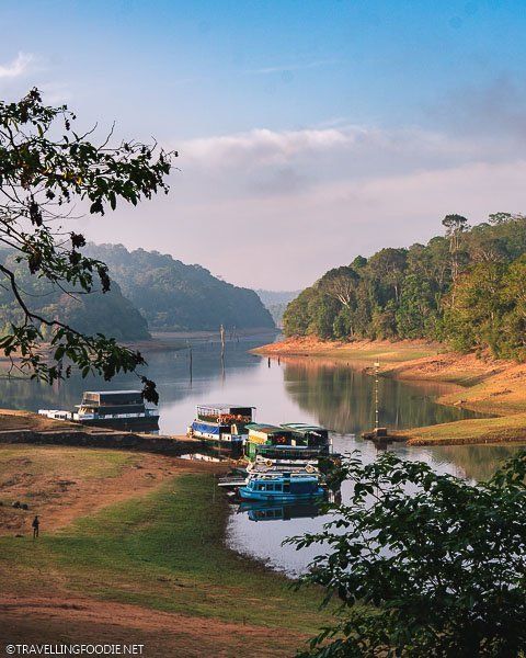 Thekkady wildlife sanctuary